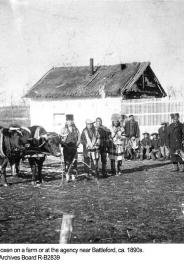group_of_indians_with_team_of_oxen